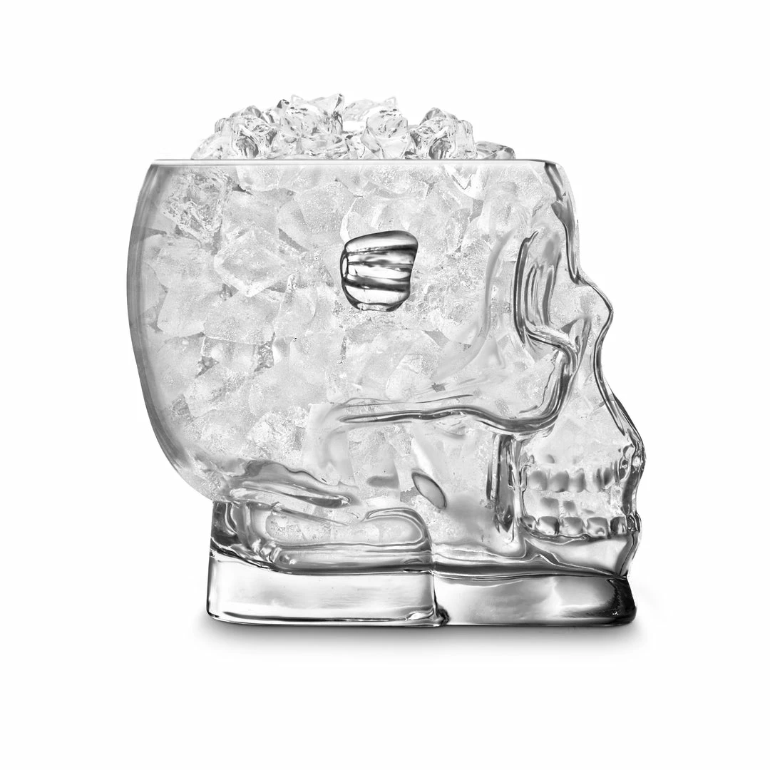 Coupon ๐ Final Touch Brainfreeze Skull Ice Bucket Tabletop & Bar โญ 3 Final Touch Brainfreeze Skull Ice Bucket Tabletop & Bar