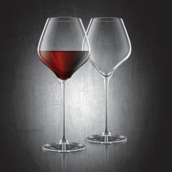 Final Touch Burgundy Lead-Free Crystal Glasses - Set Of 2